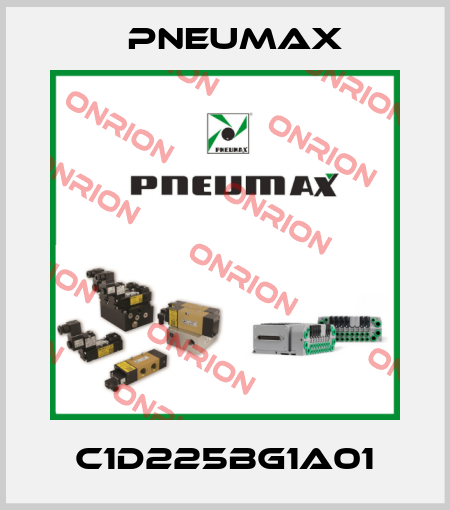 C1D225BG1A01 Pneumax