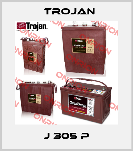 J 305 P Trojan