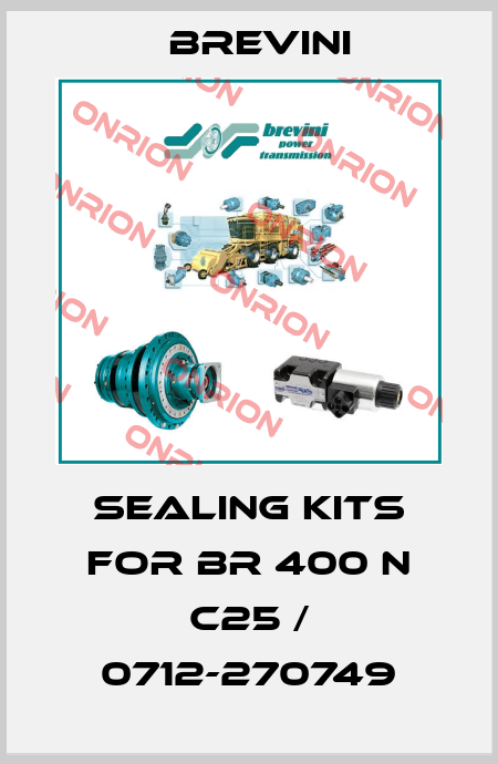 Sealing kits for BR 400 N C25 / 0712-270749 Brevini