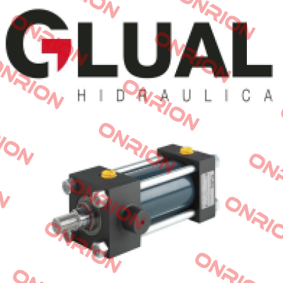 25216495 OEM Glual Hydraulics