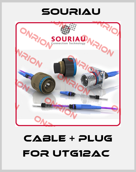 Cable + plug for UTG12AC  Souriau