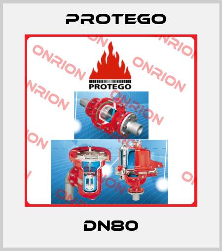 DN80 Protego