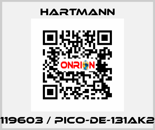 119603 / PICO-DE-131AK2 Hartmann