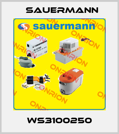 WS3100250 Sauermann