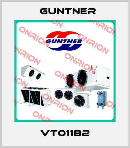 VT01182 Guntner