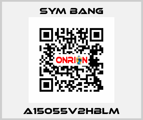 A15055V2HBLM SYM BANG