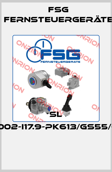 SL 3002-I17.9-PK613/GS55/01  FSG Fernsteuergeräte