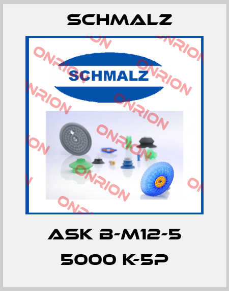 ASK B-M12-5 5000 K-5P Schmalz