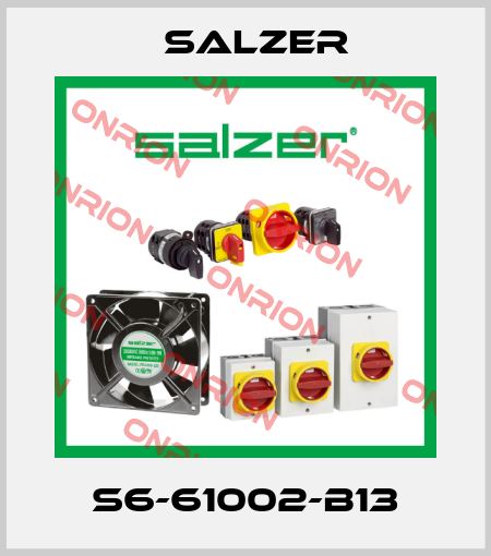 S6-61002-B13 Salzer