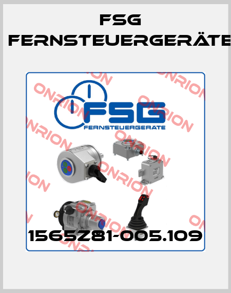 1565Z81-005.109 FSG Fernsteuergeräte