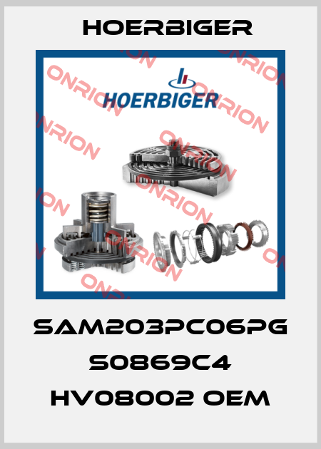 SAM203PC06PG S0869C4 HV08002 OEM Hoerbiger