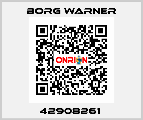 42908261  Borg Warner