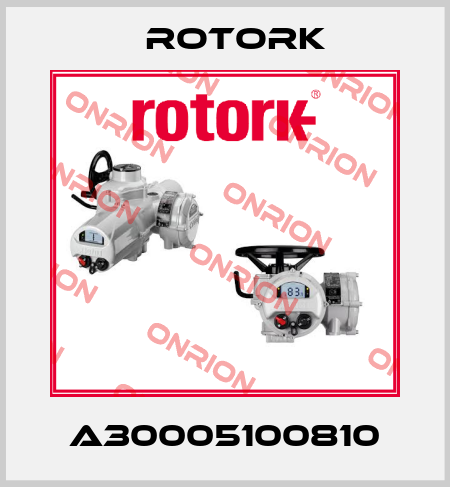 A30005100810 Rotork