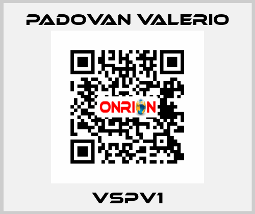 VSPV1 PADOVAN VALERIO