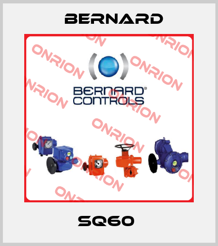 SQ60  Bernard