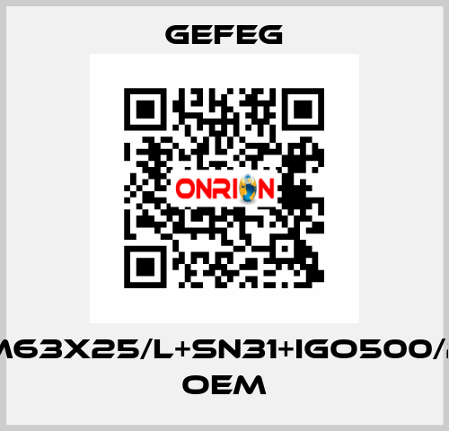 M63x25/l+sn31+igo500/2 OEM Gefeg