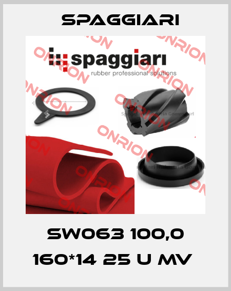 SW063 100,0 160*14 25 U MV  Spaggiari