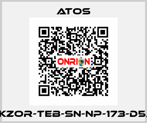 DKZOR-TEB-SN-NP-173-D5/F Atos