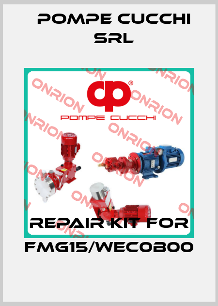 Repair kit for FMG15/WEC0B00 POMPE CUCCHI SRL