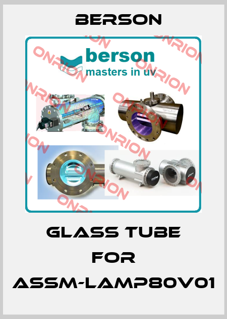 glass tube for ASSM-LAMP80V01 Berson