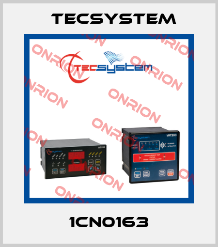 1CN0163 Tecsystem