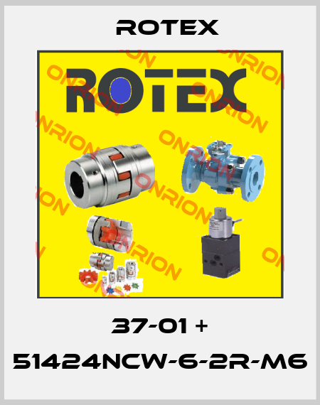 37-01 + 51424NCW-6-2R-M6 Rotex