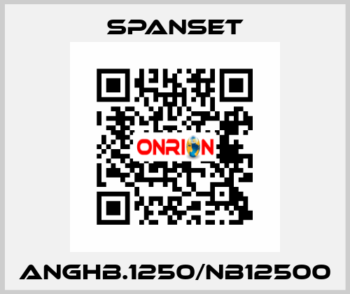 ANGHB.1250/NB12500 SpanSet