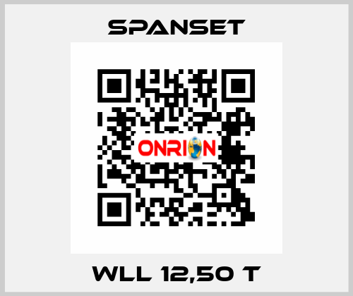 WLL 12,50 t SpanSet
