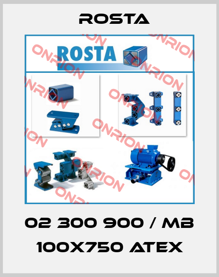 02 300 900 / MB 100x750 ATEX Rosta