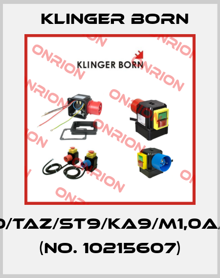 K900/TAZ/ST9/KA9/M1,0A/KI-PI (No. 10215607) Klinger Born