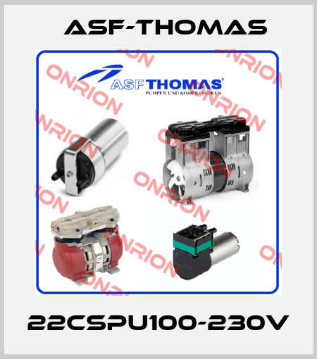 22CSPU100-230v ASF-Thomas