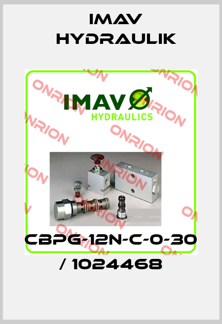 CBPG-12N-C-0-30 / 1024468 IMAV Hydraulik
