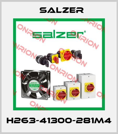 H263-41300-281M4 Salzer