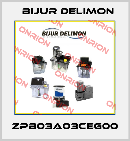 ZPB03A03CEG00 Bijur Delimon