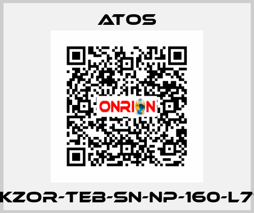 DLKZOR-TEB-SN-NP-160-L71/Q Atos
