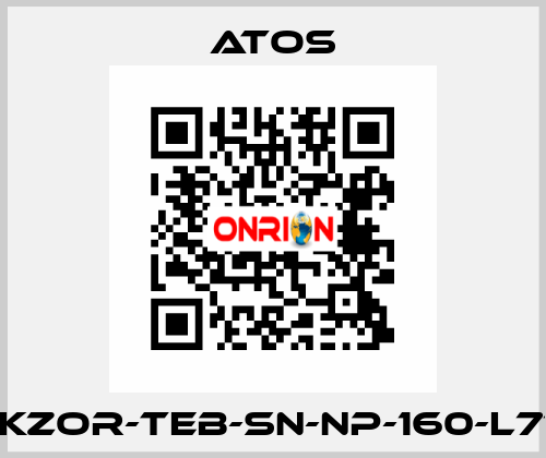 DLKZOR-TEB-SN-NP-160-L71/Q Atos