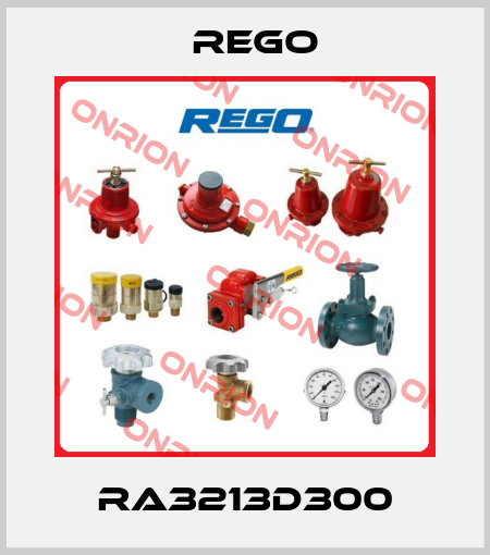 RA3213D300 Rego