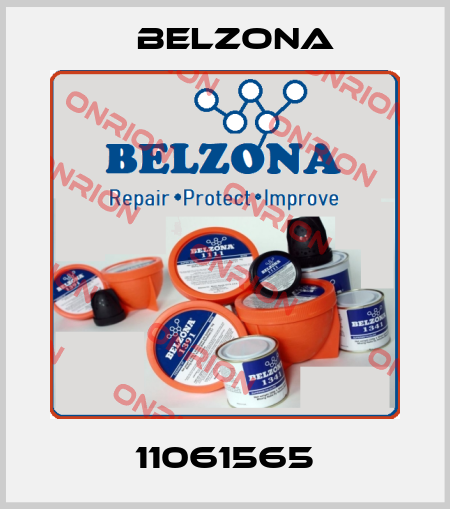 11061565 Belzona
