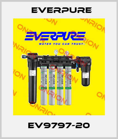 EV9797-20 Everpure