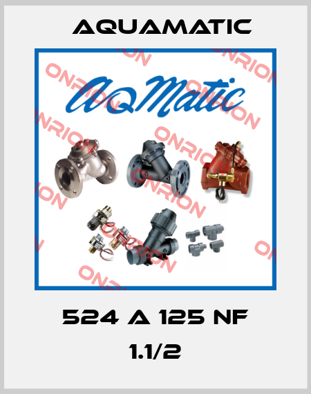 524 A 125 NF 1.1/2 AquaMatic