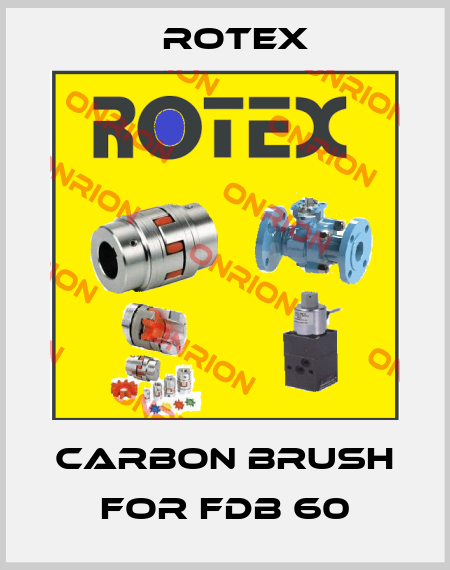 carbon brush for FDB 60 Rotex