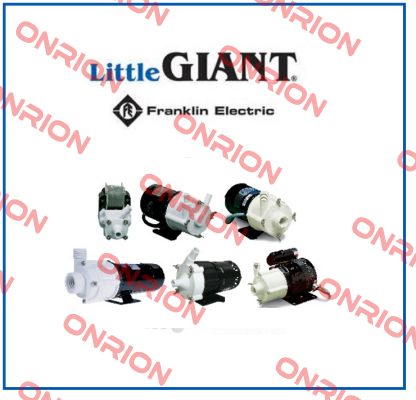 187005 Little Giant