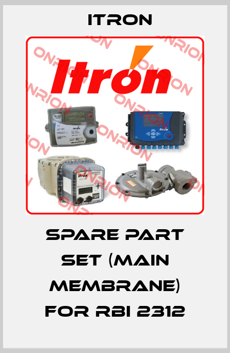spare part set (main membrane) for RBI 2312 Itron