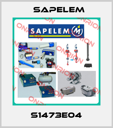 S1473E04 Sapelem