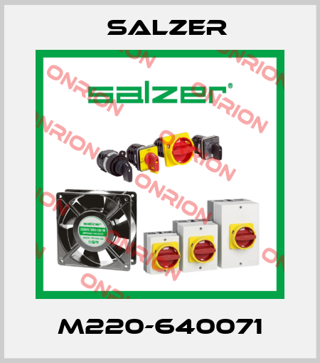 M220-640071 Salzer