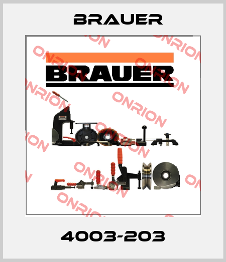 4003-203 Brauer