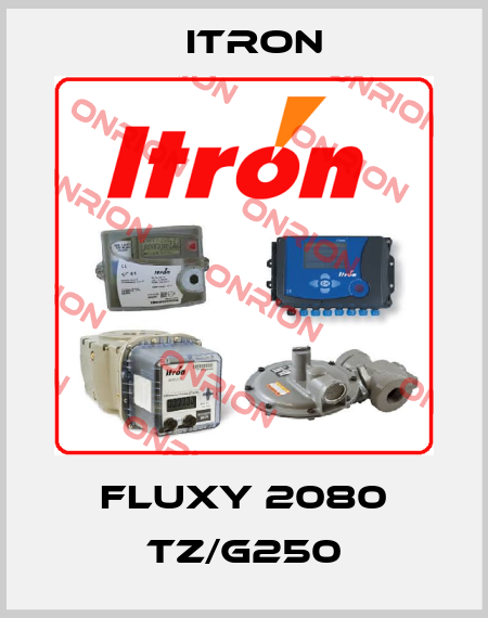 FLUXY 2080 TZ/G250 Itron