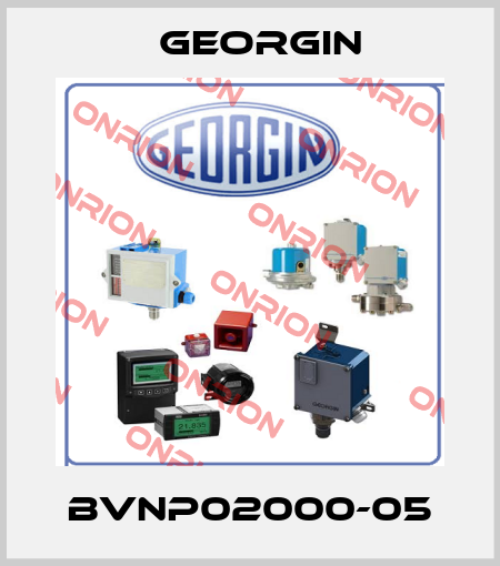 BVNP02000-05 Georgin