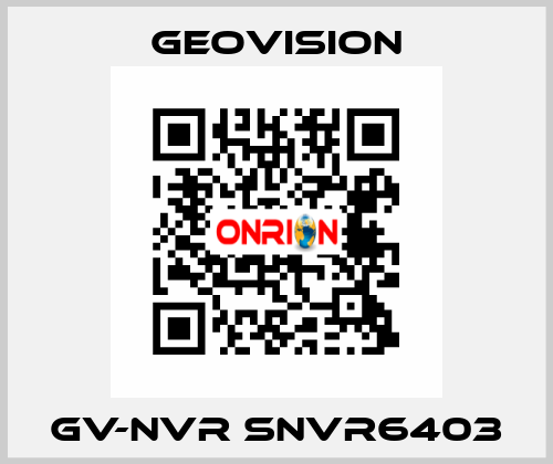 GV-NVR SNVR6403 GeoVision