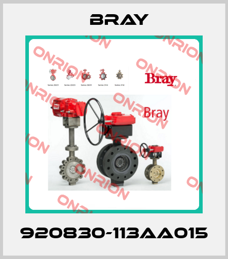 920830-113AA015 Bray